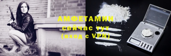 гашик Данков