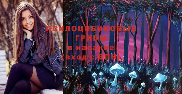 винт Семилуки
